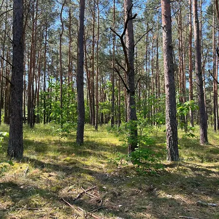 Kocanowka - Osada Artystyczna
